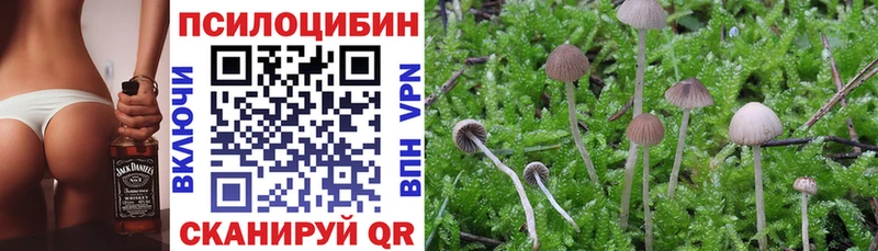 Галлюциногенные грибы Magic Shrooms  наркотики  Михайловск 